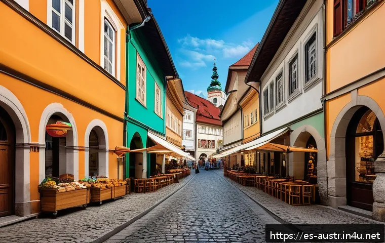 오스트리아의 유네스코 문화유산 관련 이미지 1